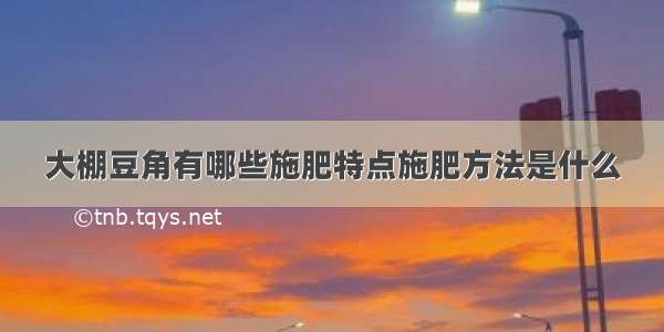 大棚豆角有哪些施肥特点施肥方法是什么