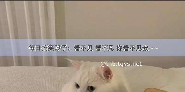 每日搞笑段子：看不见 看不见 你看不见我~~