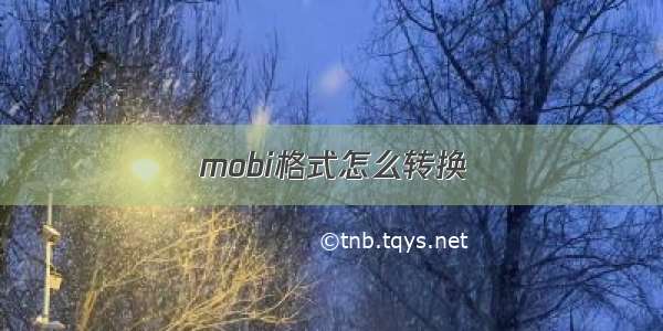 mobi格式怎么转换