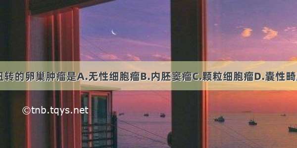 最容易发生扭转的卵巢肿瘤是A.无性细胞瘤B.内胚窦瘤C.颗粒细胞瘤D.囊性畸胎瘤E.两性母