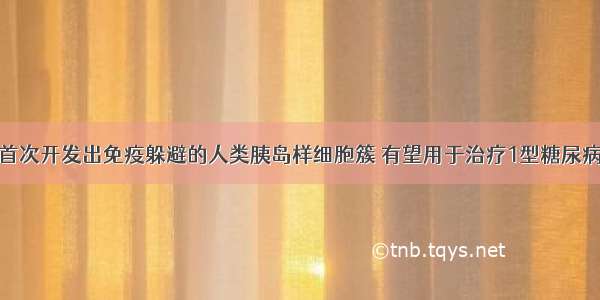 首次开发出免疫躲避的人类胰岛样细胞簇 有望用于治疗1型糖尿病