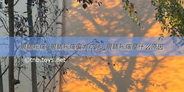 眼睛胀痛_眼睛胀痛偏方疗法_眼睛胀痛是什么原因