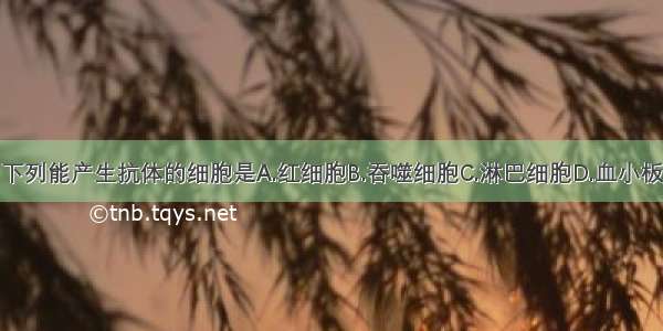 下列能产生抗体的细胞是A.红细胞B.吞噬细胞C.淋巴细胞D.血小板