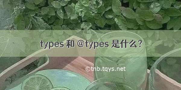 types 和 @types 是什么？