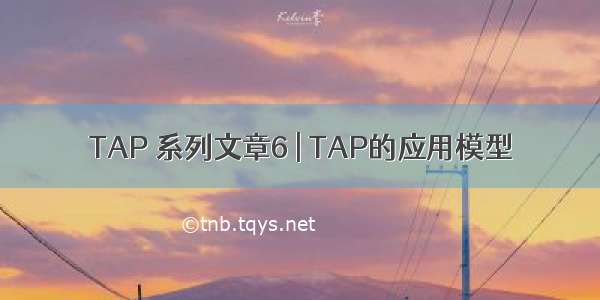 TAP 系列文章6 | TAP的应用模型