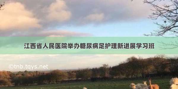 江西省人民医院举办糖尿病足护理新进展学习班