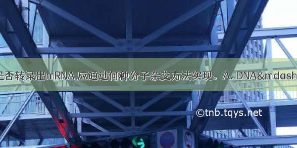 检测转基因生物是否转录出mRNA 应通过何种分子杂交方法实现。A. DNA—DNA杂交B. DN