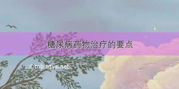 糖尿病药物治疗的要点