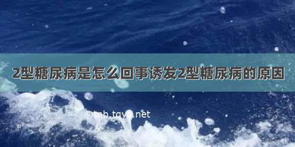 2型糖尿病是怎么回事诱发2型糖尿病的原因