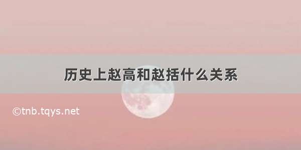 历史上赵高和赵括什么关系