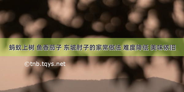 蚂蚁上树 鱼香茄子 东坡肘子的家常做法 难度降低 美味依旧