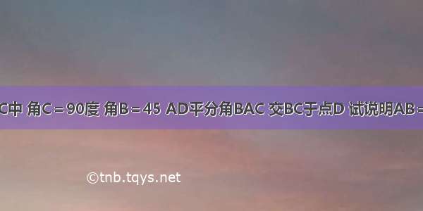 如图在△ABC中 角C＝90度 角B＝45 AD平分角BAC 交BC于点D 试说明AB＝AC＋CD的