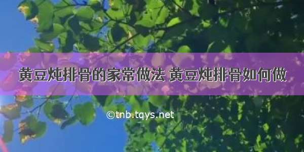 黄豆炖排骨的家常做法 黄豆炖排骨如何做