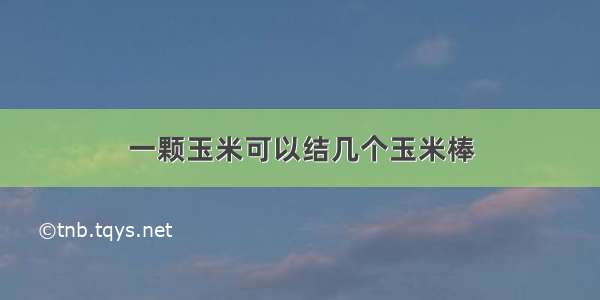 一颗玉米可以结几个玉米棒