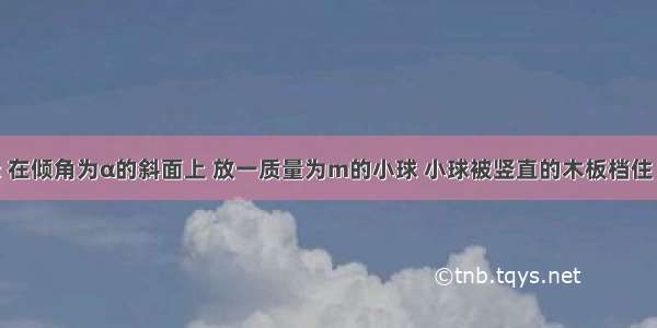 如图所示 在倾角为α的斜面上 放一质量为m的小球 小球被竖直的木板档住 不计摩擦