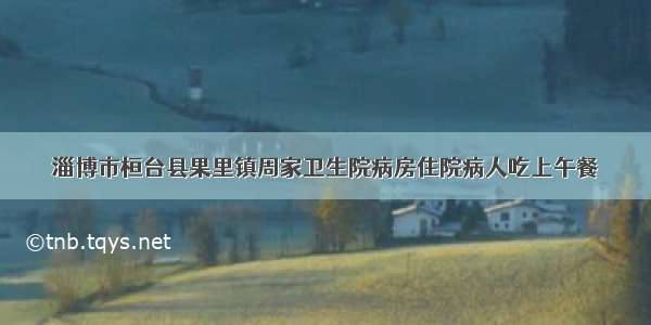 淄博市桓台县果里镇周家卫生院病房住院病人吃上午餐