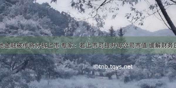 绿地金融被传将分拆上市 专家：若上市可提升母公司市值 缓解财务压力