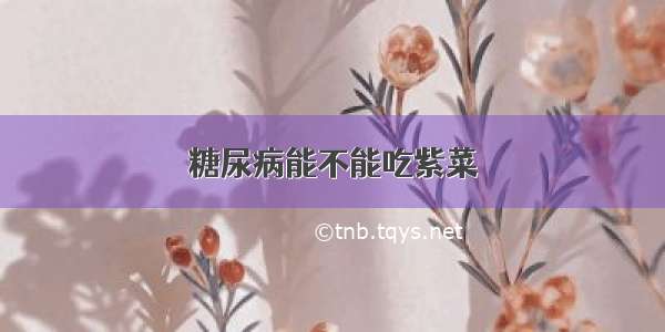 糖尿病能不能吃紫菜