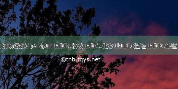 三七的功效是()A.凉血止血B.收敛止血C.化瘀止血D.温经止血E.补虚止血