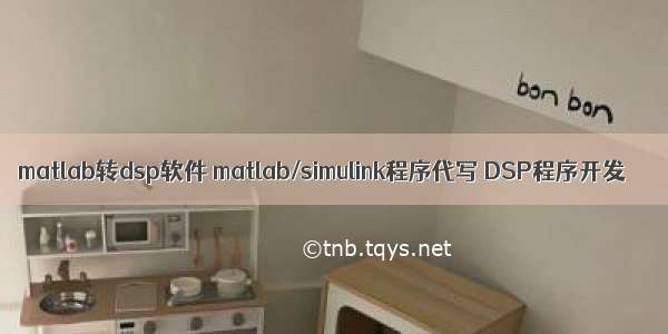 matlab转dsp软件 matlab/simulink程序代写 DSP程序开发