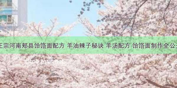 正宗河南郏县饸饹面配方 羊油辣子秘诀 羊汤配方 饸饹面制作全公开