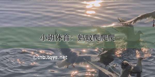 小班体育：蚂蚁爬爬爬