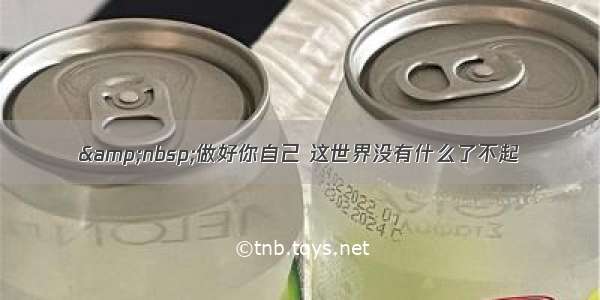 &nbsp;做好你自己 这世界没有什么了不起