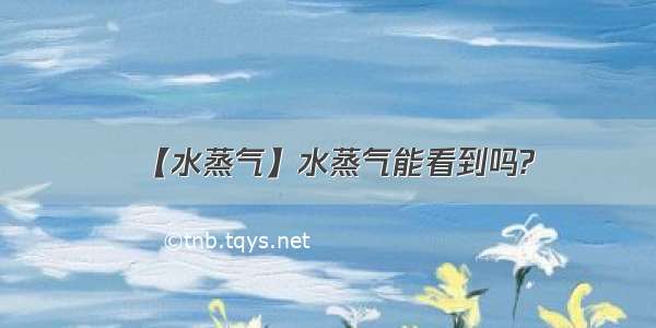 【水蒸气】水蒸气能看到吗?