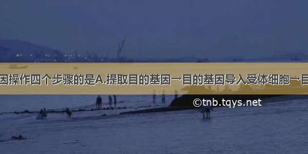 正确表示基因操作四个步骤的是A.提取目的基因→目的基因导入受体细胞→目的基因与运