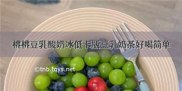 桃桃豆乳酸奶冰低卡版豆乳奶茶好喝简单