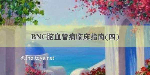 BNC脑血管病临床指南(四)