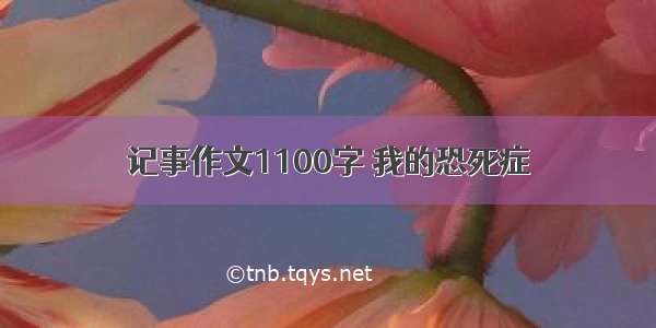 记事作文1100字 我的恐死症