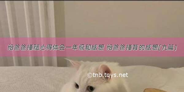 给爸爸捶腿心得体会一年级和感想 给爸爸捶背的感想(九篇)