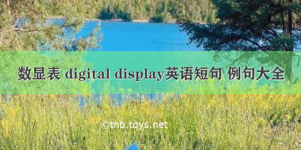 数显表 digital display英语短句 例句大全