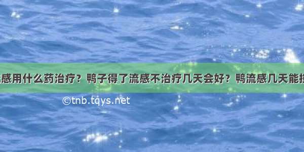 鸭禽流感用什么药治疗？鸭子得了流感不治疗几天会好？鸭流感几天能控制住？