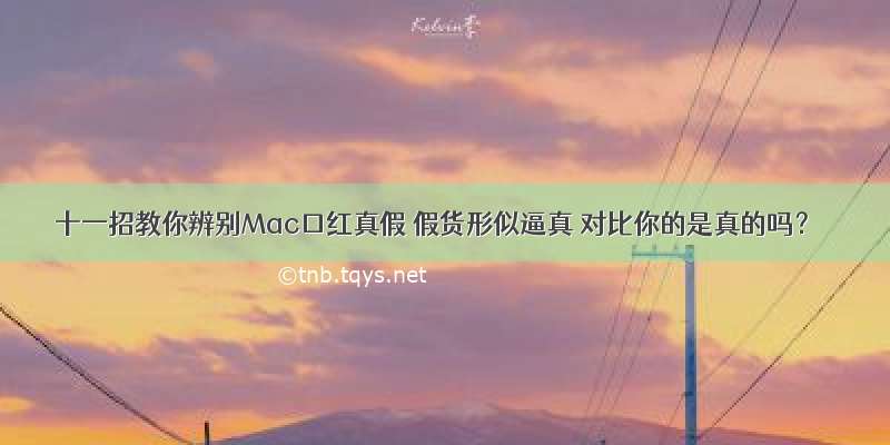 十一招教你辨别Mac口红真假 假货形似逼真 对比你的是真的吗？