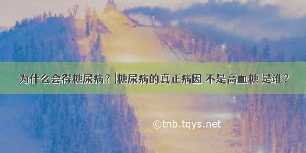 为什么会得糖尿病？|糖尿病的真正病因 不是高血糖 是谁？