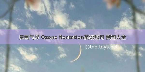 臭氧气浮 Ozone floatation英语短句 例句大全