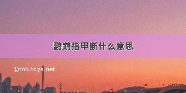 鹦鹉指甲断什么意思