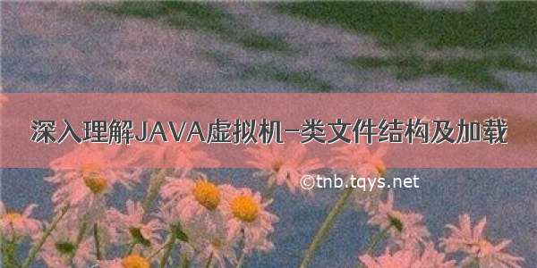 深入理解JAVA虚拟机-类文件结构及加载