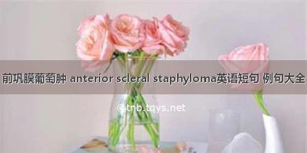 前巩膜葡萄肿 anterior scleral staphyloma英语短句 例句大全