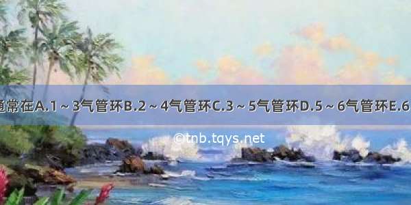 气管切开的位置通常在A.1～3气管环B.2～4气管环C.3～5气管环D.5～6气管环E.6～8气管环ABCDE