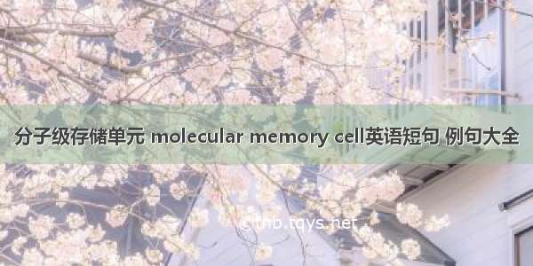 分子级存储单元 molecular memory cell英语短句 例句大全