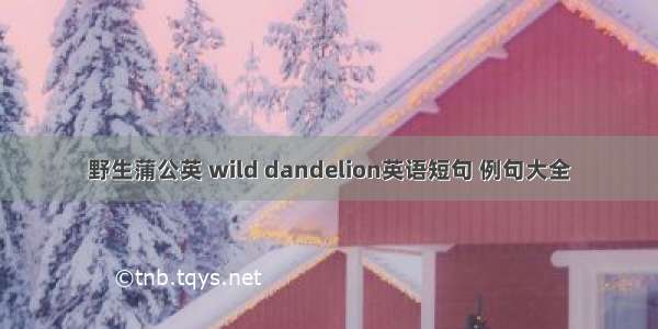 野生蒲公英 wild dandelion英语短句 例句大全