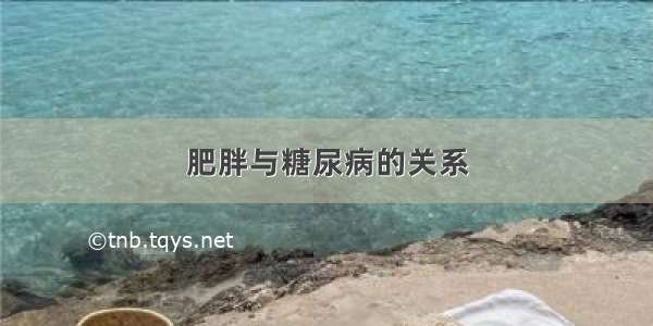 肥胖与糖尿病的关系