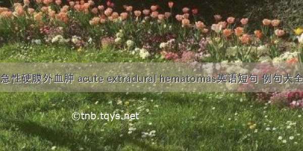 急性硬膜外血肿 acute extradural hematomas英语短句 例句大全