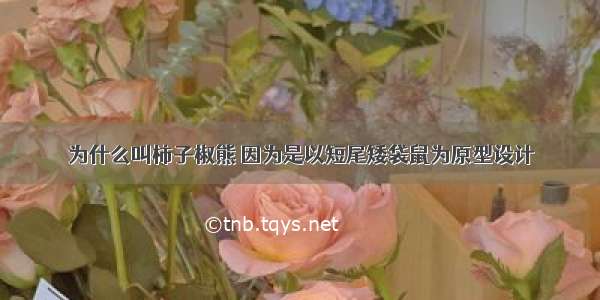 为什么叫柿子椒熊 因为是以短尾矮袋鼠为原型设计