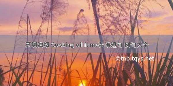 烹调油烟 Cooking oil fume英语短句 例句大全