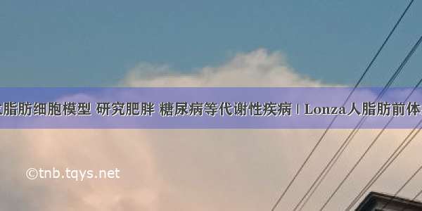 建立脂肪细胞模型 研究肥胖 糖尿病等代谢性疾病 | Lonza人脂肪前体细胞