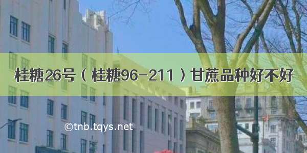 桂糖26号（桂糖96-211）甘蔗品种好不好